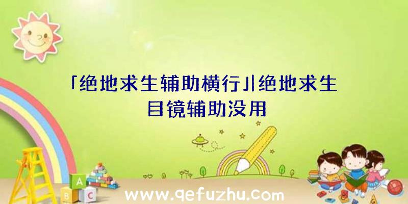 「绝地求生辅助横行」|绝地求生目镜辅助没用